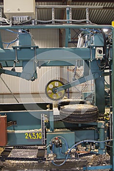 Machine for Cutting Wood in Sawmill