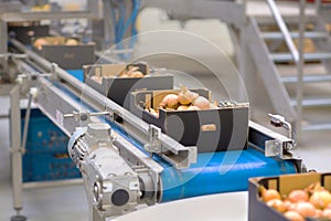 The machine in the food industry
