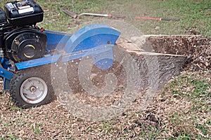 Machine Grinding Tree Stump