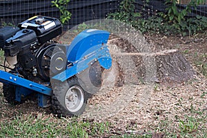 Machine Grinding Up Tree Stump photo