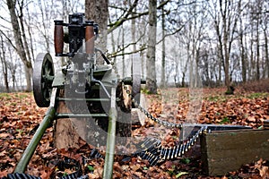 Machine gun in the forest