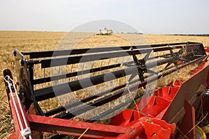 Machine harvesting