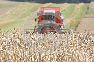 Machine harvesting