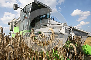 Machine harvesting