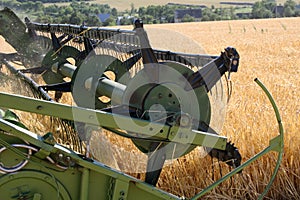 Machine harvesting