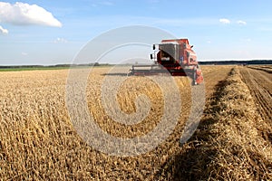 Machine harvesting