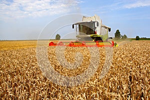 Machine harvesting