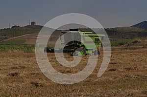 Machine harvesting wheat field, picking up the grain and making straw