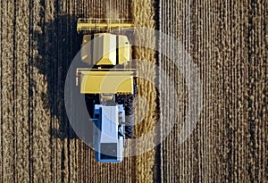 machinery field yellow Agricultural bright landscape Aerial autumn cereal view machine Big harvester reaping wheat drone