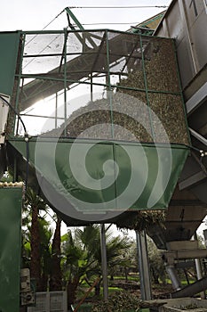 Machinery for olive processing in an olive oil mill