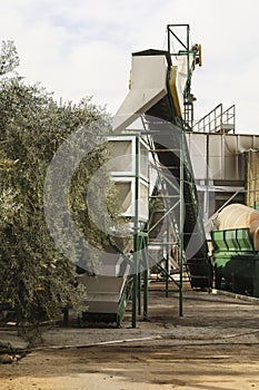 Machinery for olive processing in an olive oil mill