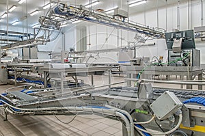 Machinery production cutting large quantities of meat