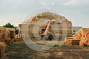 Machinery stacking hay bales in farm field. Tractor Storing Bails Of Hay