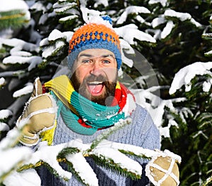 Macho with beard between firtrees branches shows thumb up. photo