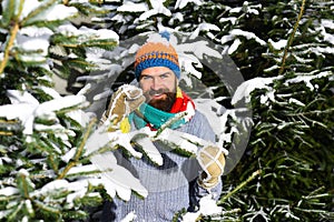 Macho with beard and mustache hiding between firtrees branches. photo