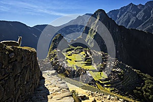 Machu Picchu