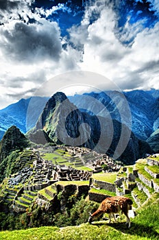 Machu Picchu