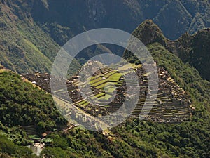 Machu Picchu photo