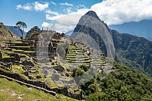 Machu Picchu city from the inside. Huayna Picchu mountain and green vegetation can be seen. Cloudy day.