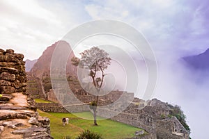 Machu Picchu, Cusco, Peru in the morning mist, found on the steep slopes of the Andes Mountains