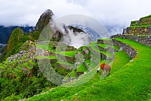 Machu Picchu, Cusco,Peru: Overview of the lost inca city Machu Picchu with Wayna Picchu peak