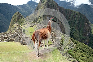 Machu Picchu Inca city, Peru.