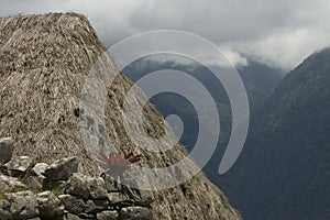 Machu Picchu, the lost city of the Andes, Cusco, Peru. High quality photo The new 7 wonders - Ancient Ruins - Landmark