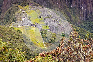 Machu Picchu panorama