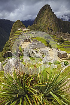 Machu Picchu panorama
