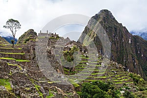 Machu Picchu, panoramic view of peruvian incan town