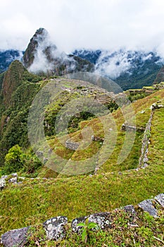 Machu Picchu, panoramic view of peruvian incan town