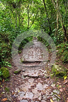 Machu Picchu, pathway to peruvian incan town