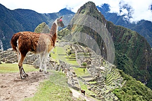 Machu Picchu, Peru. photo