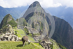 Machu Picchu, Peru.