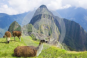 Machu Picchu, Peru