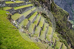 Machu Picchu Peru, agricultural terraces