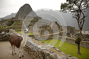 Machu Picchu Peru, Southa America, a UNESCO World Heritage Site