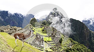 Machu Picchu, Peru; UNESCO World Heritage Site. One of the New Seven Wonders of the world