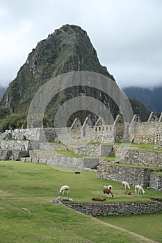 Machu Picchu ruins in Peru. UNESCO World Heritage Site from 1983