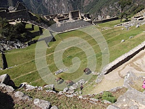 Machu Picchu, the sacred mountain of the Incas and its ruins in the city of Aguas Calientes