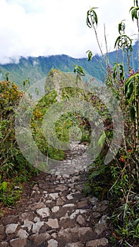 Machu Picchu site, Peru