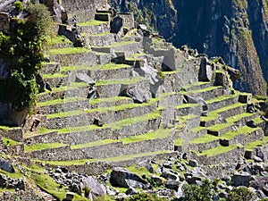 Machu Picchu terraces