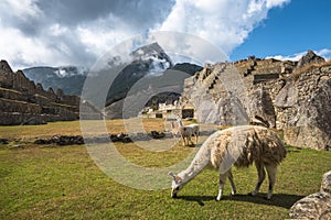 Machu Picchu, UNESCO World Heritage Site