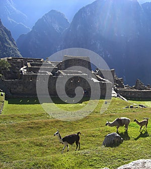 Machu Pichu ancient ruins view in late afternoon