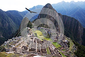 The machu pichu photo