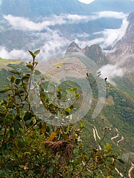 Machu Pichu Shrouded In Mist