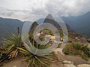 Machupicchu seen from behind foliage and some tourists