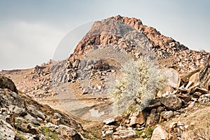 Macin Mountains