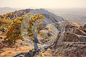 Macin Mountains in autumn