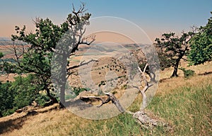 Macin Mountains. Oldest Mountains in Romania